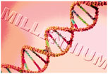 Vision Correction Northern California